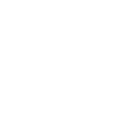 Bitcoin Policy Institute